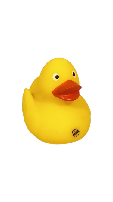 Sportclub Verl Badeente