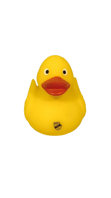 Sportclub Verl Badeente